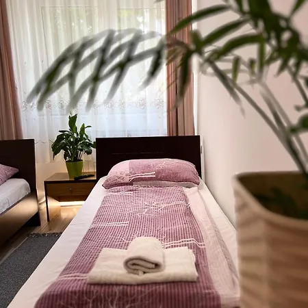 بيت ضيافة Bezdan Guesthouse Bezdan