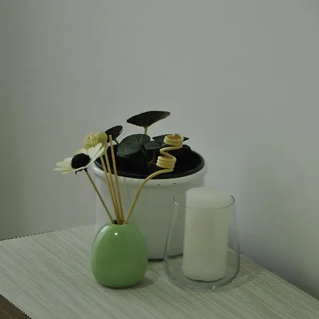 Bezdan Guesthouse بيت ضيافة Bezdan