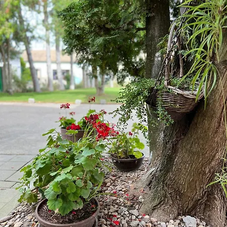 Bezdan Guesthouse بيت ضيافة Bezdan